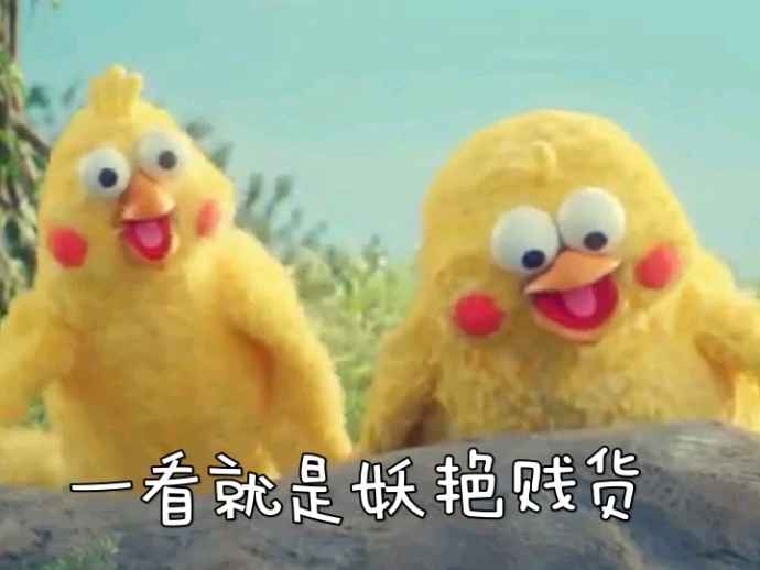 鹦鹉兄弟表情包 免费版图1