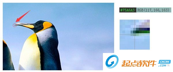 赏色屏幕取色器 v2.0 绿色版图1