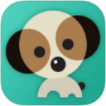 我的lol驾照app