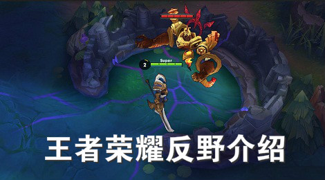 王者荣耀反野什么意思 王者荣耀为什么要反野