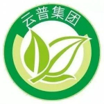 行情分析系统