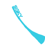 saky Pro app下载