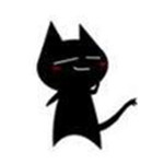 黑猫小型进销存