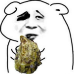 生蚝我们走表情包