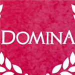 Domina修改器