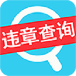 车辆违章查询平台