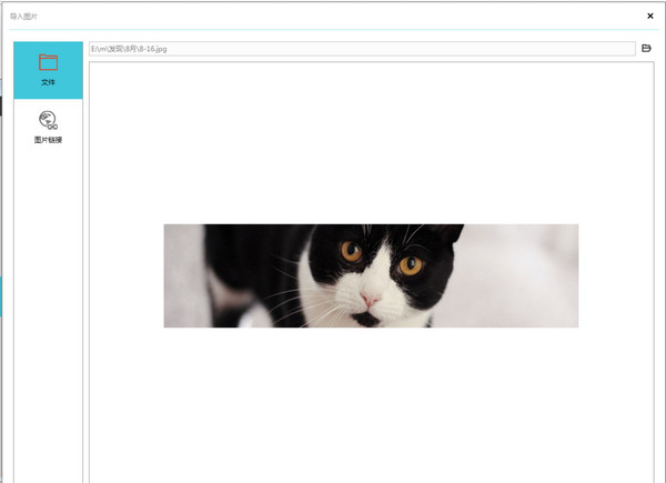 mockplus下载 v3.6.0.2 专业破解版图4