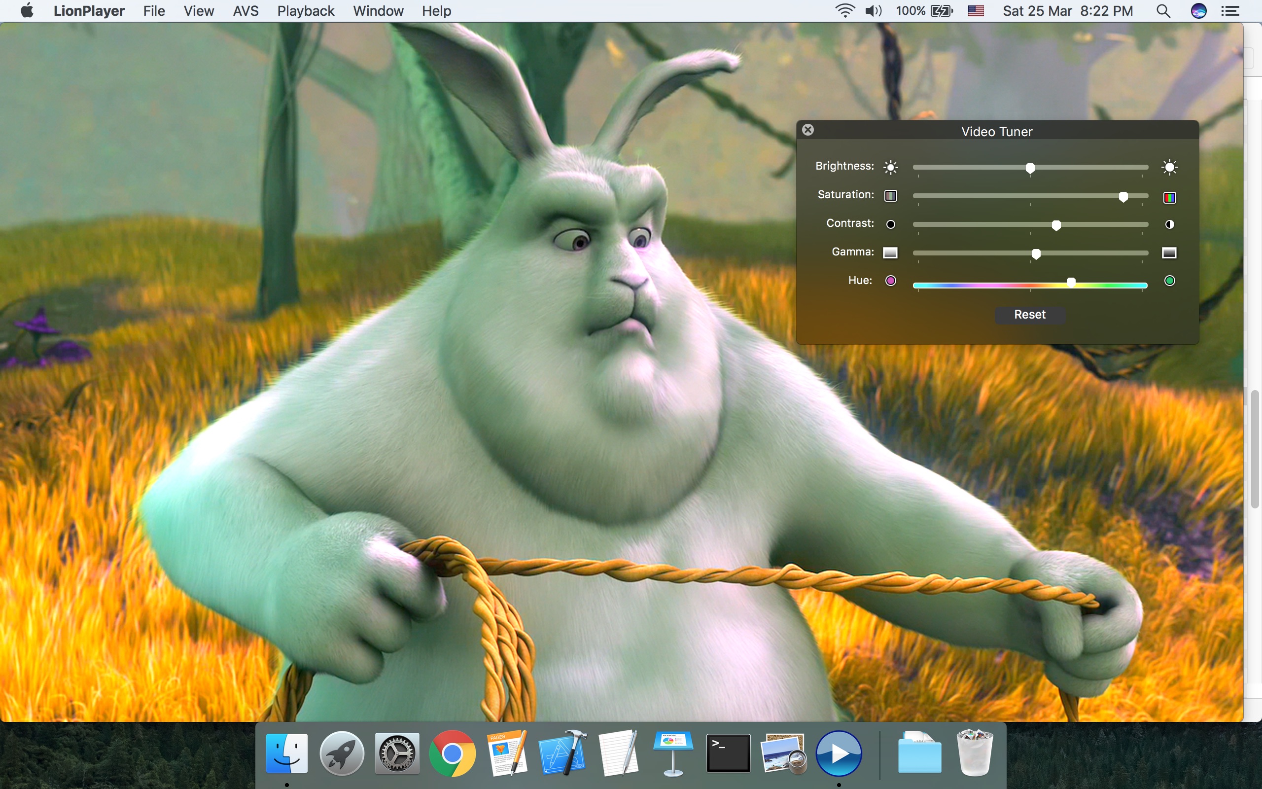 LionPlayer v1.0.5 MAC版图4