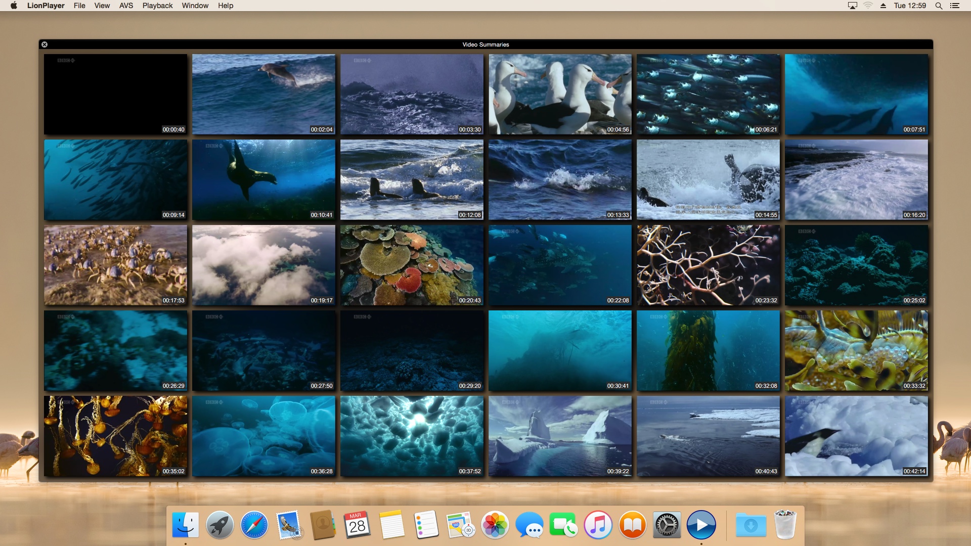 LionPlayer v1.0.5 MAC版图6