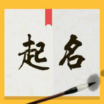 生辰八字宝宝取名软件破解版