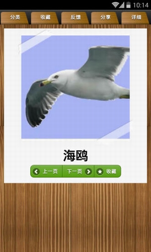 幼儿早教学习卡下载 v1.5.4 安卓版图4