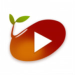 媒豆网app