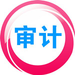 审计大师下载