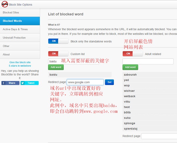 chrome Block site插件下载 v3.1.11 官方版图2