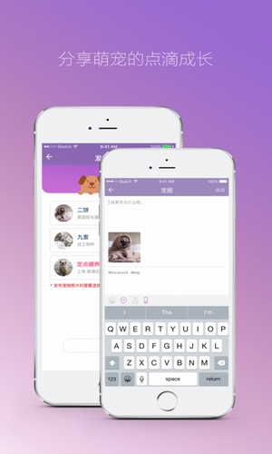 肆分宠app v2.1.3 安卓版图3
