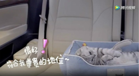 菜鸟裹裹萌急送是什么 菜鸟裹裹萌急送详细介绍