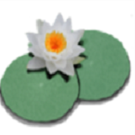 lilypond下载 v2.19.26 官方版 