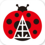 金龟子旅行app