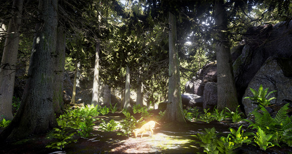 生存主义动物模拟游戏下载 中文版图2