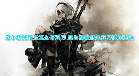 尼尔机械纪元怎么开双刀 尼尔机械纪元双刀使用方法