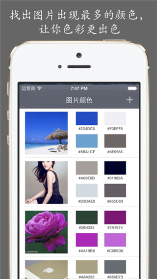 配色库下载 v1.0 官方版图2