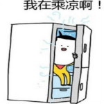 冰箱里太舒服了表情包下载