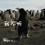 神奇的一天表情包下载
