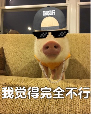 我觉得不行表情包 完整版图4