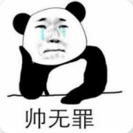 我最帅表情包下载