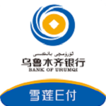 雪莲E付app