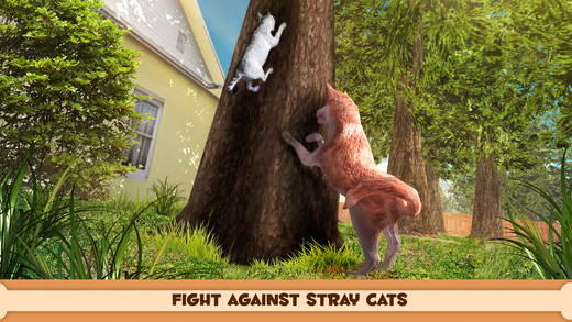 玩你的狗芝犬 v1.0 iphone版图1