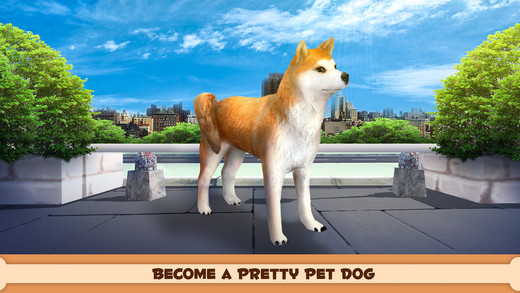 玩你的狗芝犬 v1.0 iphone版图3