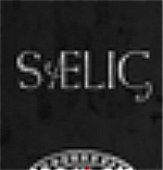 SAELIG汉化补丁下载