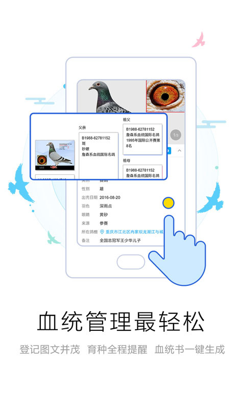 爱鸽者app