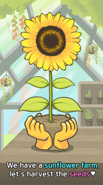 滚滚仓鼠安卓下载 v1.4.2 免费版图5