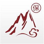 如山车服app