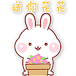 可爱兔微信表情包下载
