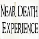 濒死体验游戏下载 pc中文版