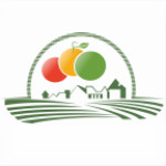 水果庄园 v1.5 安卓版 