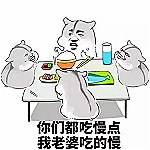 实力宠媳妇表情包