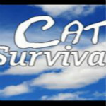猫与九条命游戏下载 中文硬盘版