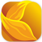 金楑花信贷端app