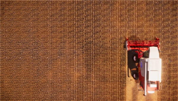 真实农场模拟 中文版图4