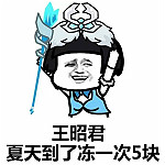 我王昭君冻一次五块钱表情包