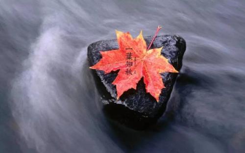 2017立秋高清图片大全 完整版图1