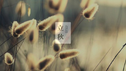 2017立秋高清图片大全 完整版图2