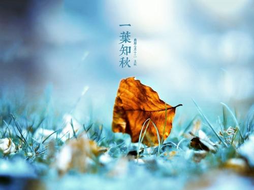 2017立秋高清图片大全 完整版图4