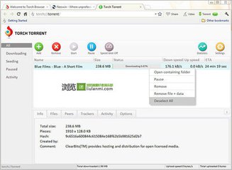 火炬浏览器(Torch Web Browser) v57.0.0.12335 最新版图1