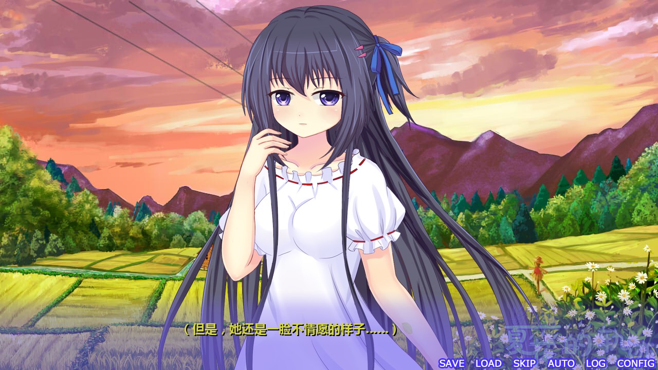 夏花的轨迹 中文版图1