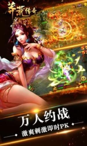 莽荒传奇九游版 v1.1.1 安卓版图2